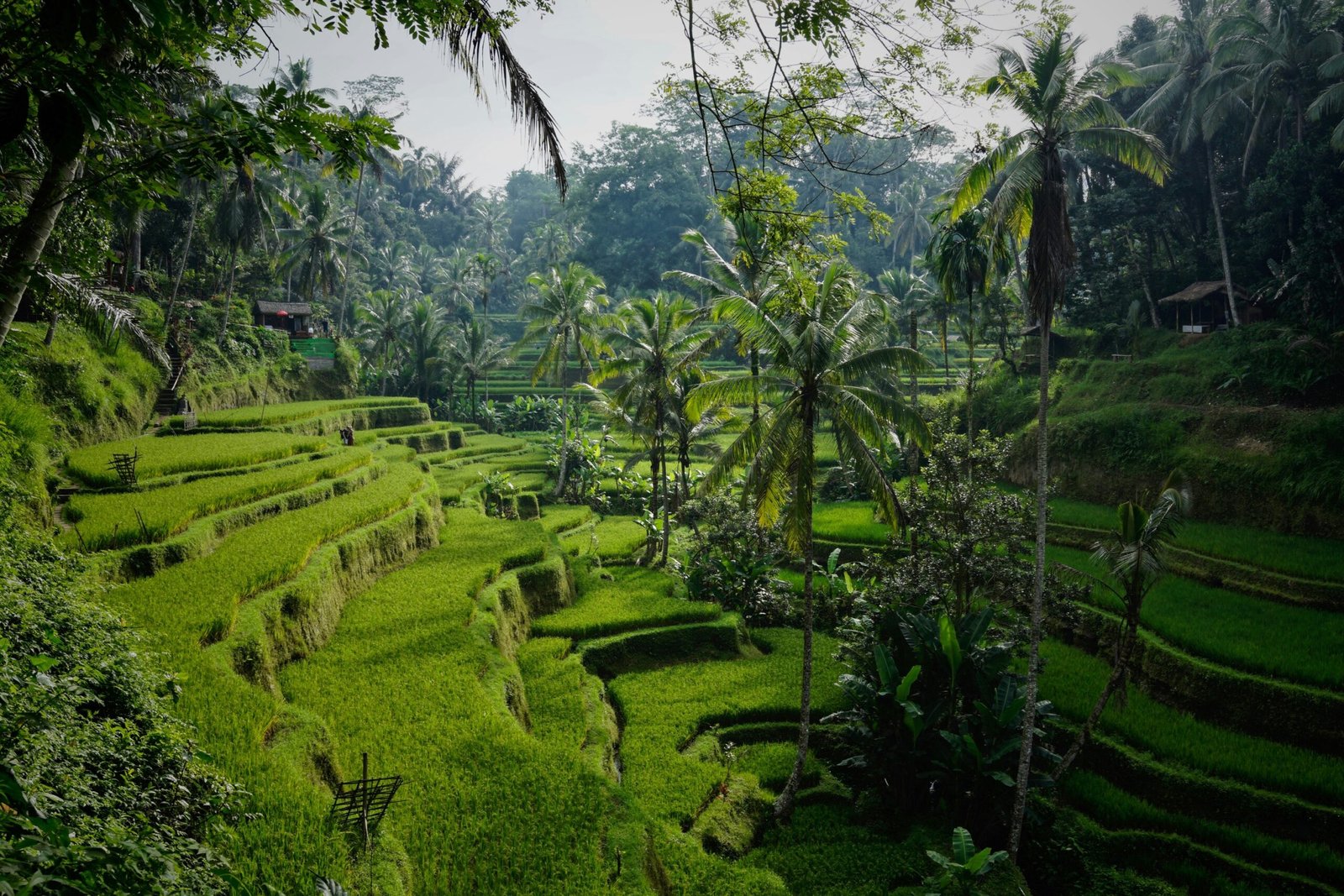 travel-image