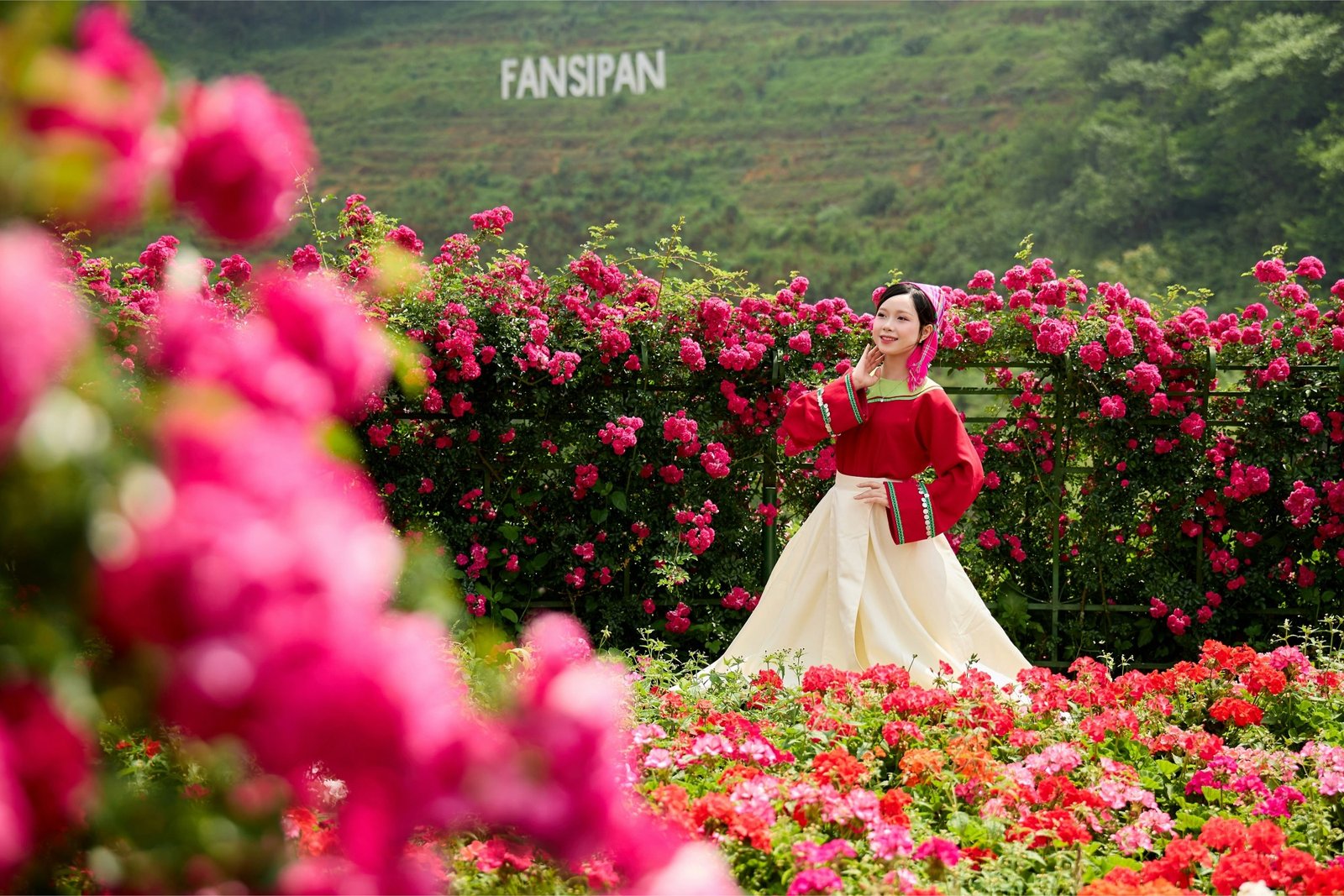 travel-image